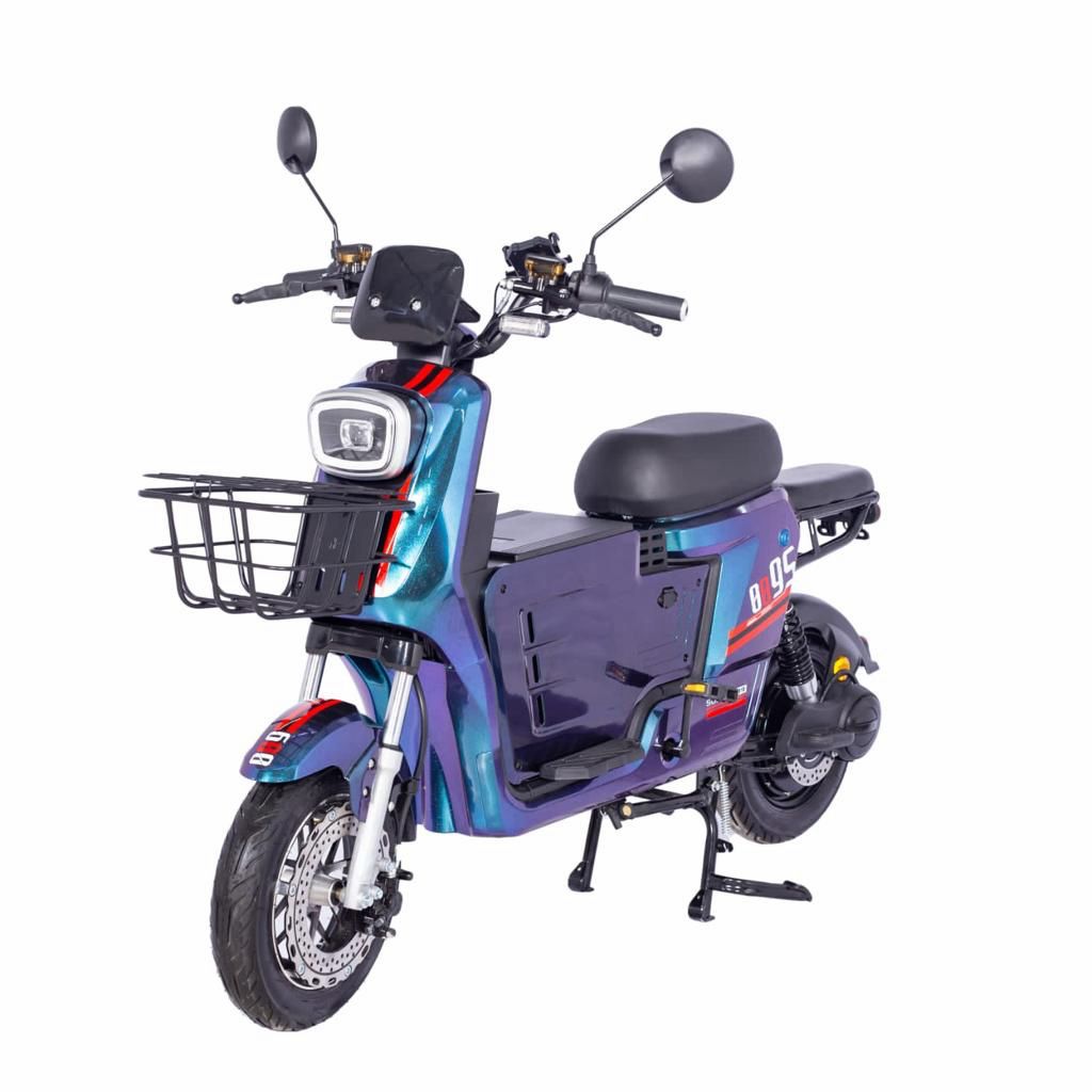 Bicicleta Eléctrica 09S 1200W – Motor Potente | Batería LiFePO4 | Hasta 80 km de Autonomía