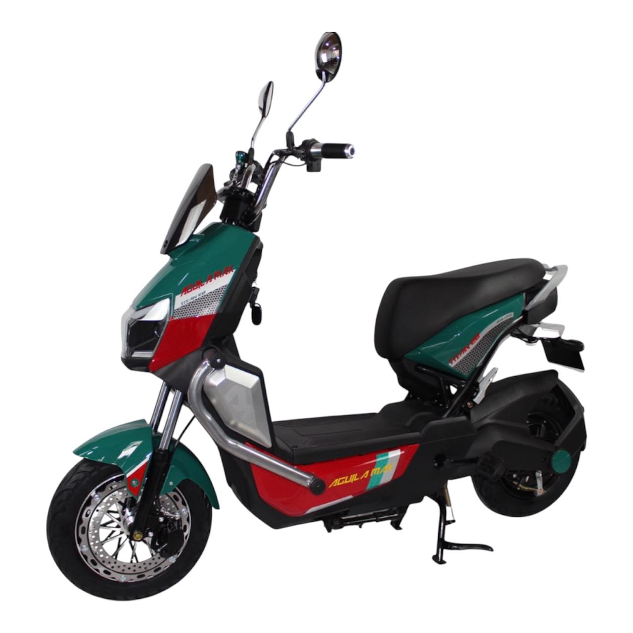 Bicicleta Eléctrica Águila Max 1000W – Batería LiFePO4 | Hasta 80 km de Autonomía